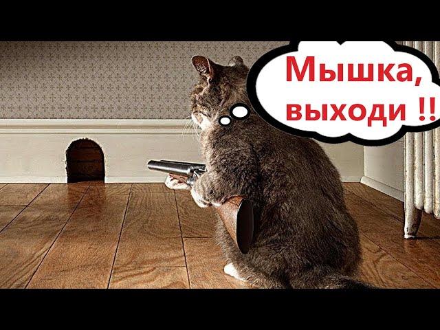 Funny Animal Videos 2023 - Funniest Dogs and Cats Videos #125