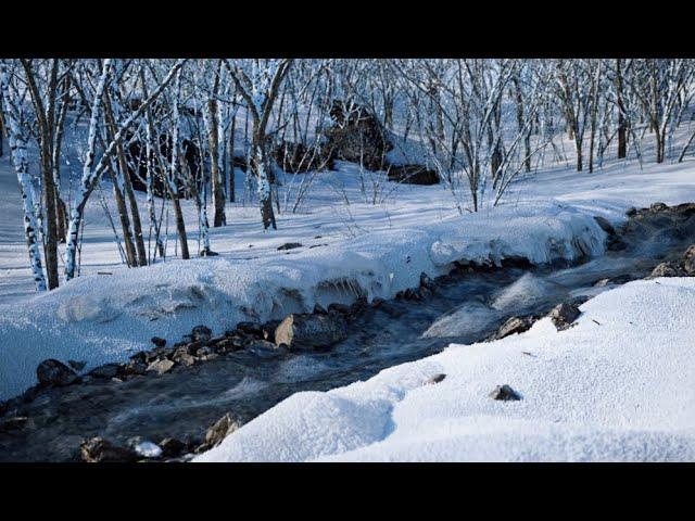 Snowy Water-Simulation  | Octane Render, X-Particles.