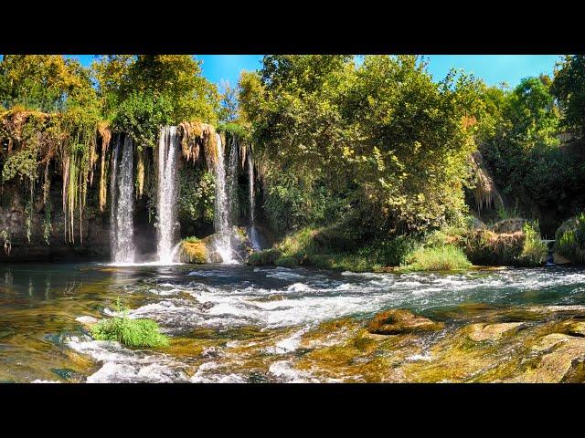 Nature Background No Copyright Video - Free Stock Footage