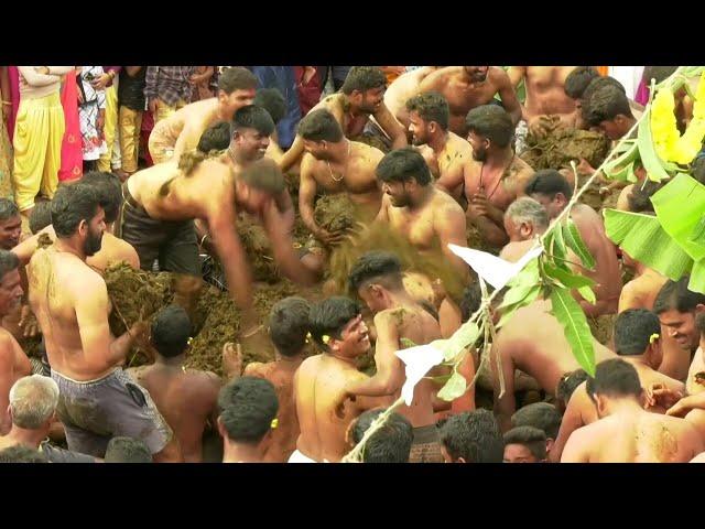 Indian cow dung festival celebrates end to Diwali | AFP