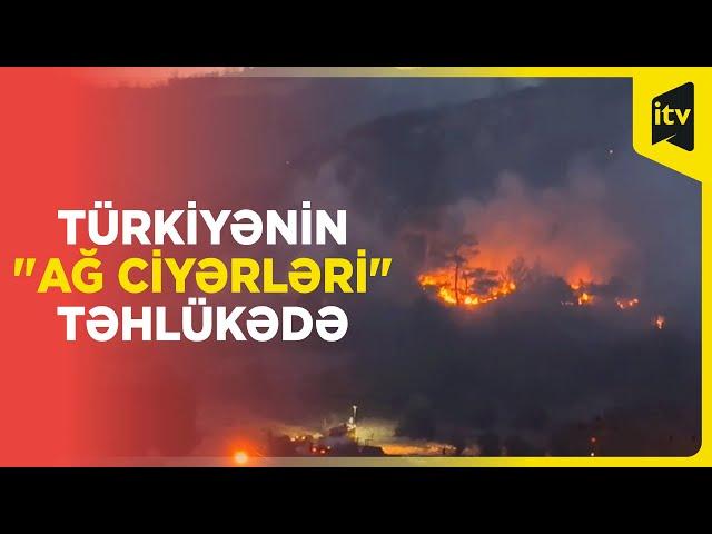 Türkiyə meşə yanğınlarının çəngindən qurtula bilmir