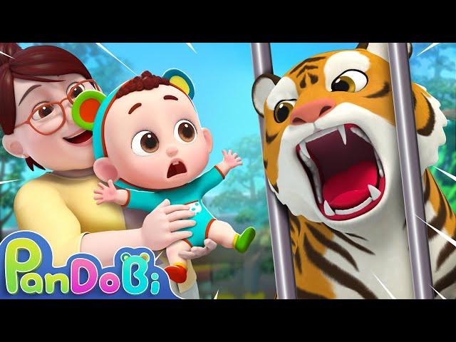 Let's Go to the Zoo | Learn Animals for Kids + More Nursery Rhymes & Kids Songs - Pandobi