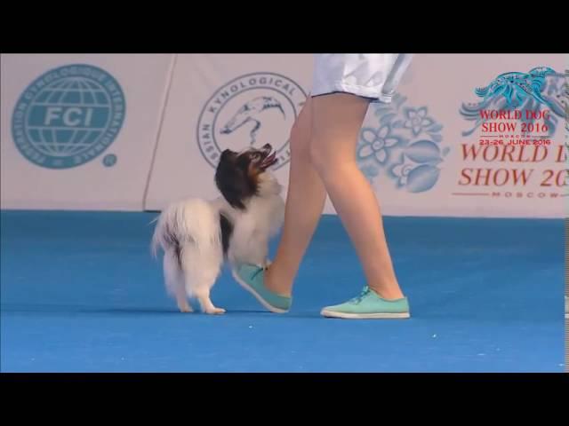 FCI Dog dance World Championship 2016 – Freestyle final  - Irina Efremova and Unkas (Russia)