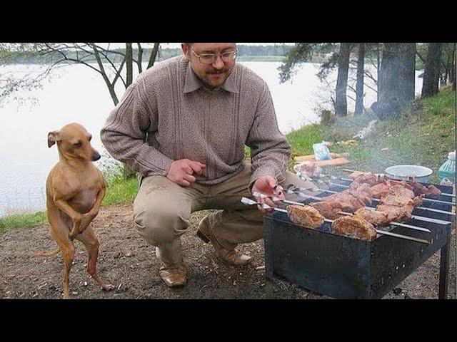 Barking with Laughter | FUNNIEST Dog and Human Of The Month