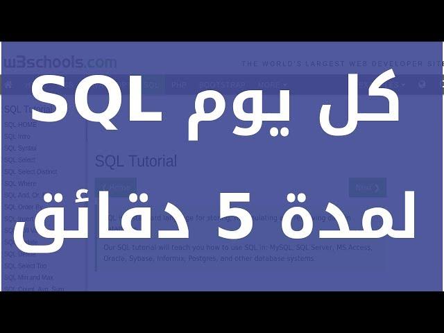 تعلم SQL كل يوم لمدة 5 دقائق: SQL EXISTS Operator