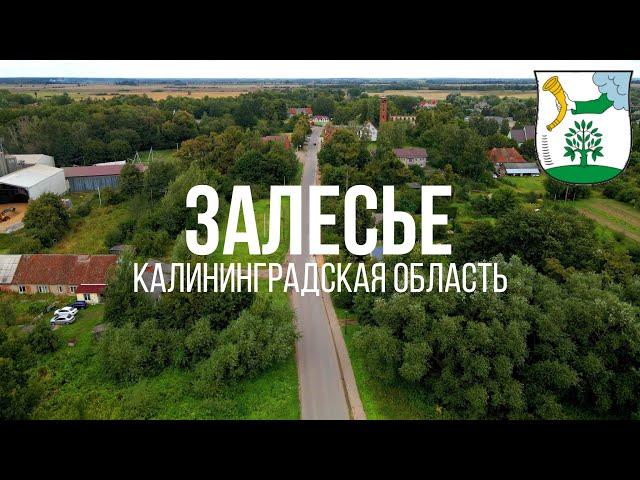 4K. Залесье. Полесский район. Калининградская область