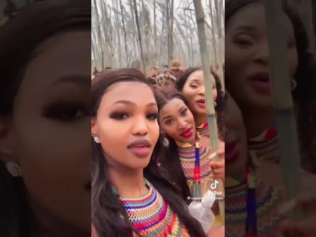 #southafrica Zulu queens#zulu #shorts #trending #zulunation #funny #zulukingdom #prank #zuludance