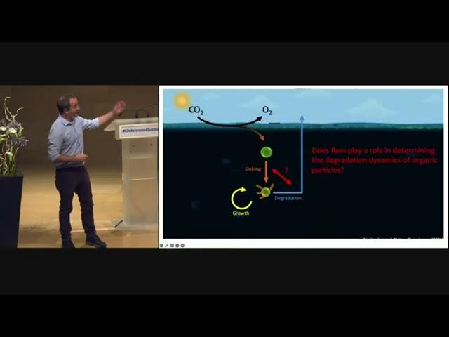 Unraveling the microscale mechanisms driving particle degradation in the ocean