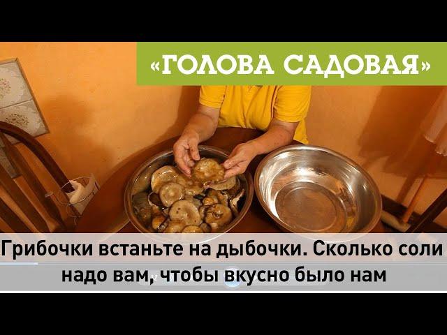 Голова садовая - Грибочки встаньте на дыбочки. Сколько соли надо вам, что бы вкусно было нам