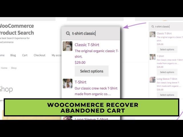 WooCommerce Product Search - best search plugin for WooCommerce 100% GPL Installation & setup