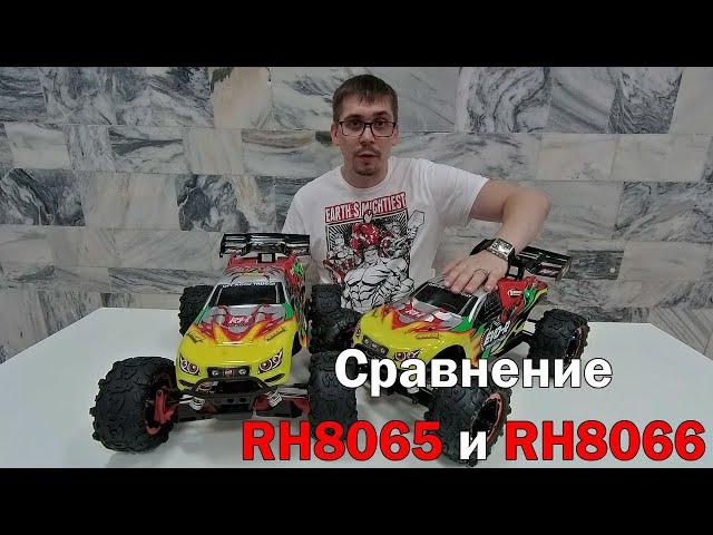 Чем отличается бесколлекторный Remo Hobby EVO-R RH8065 от RH8066