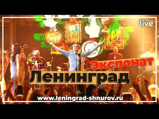 Ленинград — Экспонат (Live 2024)