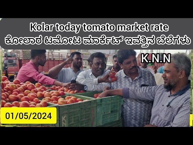 Live Kolar  today 01/05/2024 tomato rate in ಕೋಲಾರ ಟಮೋಟ ಮಾರ್ಕೆಟ್ ಇವತ್ತಿನ ರೇಟ್ ಎಷ್ಟುಗೊತ್ತಾ.?