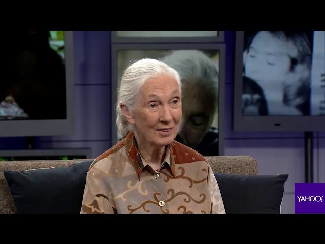 Jane Goodall on how Bigfoot might be real