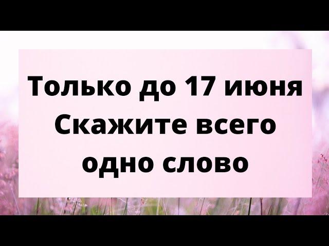 Только до 17 июня, скажите всего одно слово.