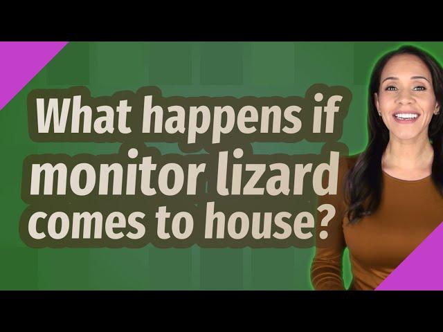 What happens if monitor lizard comes to house?