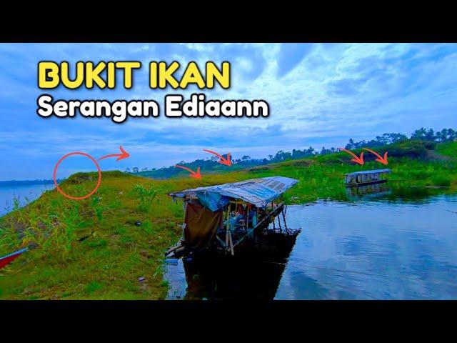 CUACA EXTREME IKAN MABUK !! SPOT MANCING INI SOLUSINYA SEMUA JORAN DI SERANG HABIS"AN