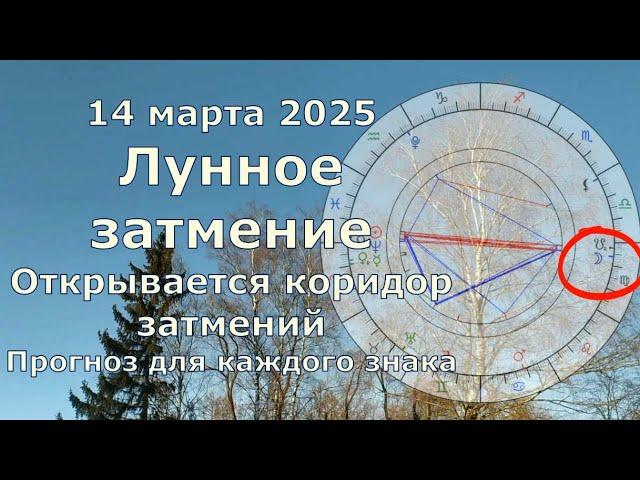 Лунное затмение 14 марта 2025 что принесёт каждому знаку