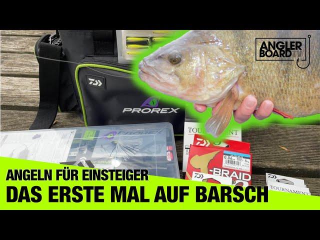 Angeln für Einsteiger – BARSCHANGELN | Tipps und Tricks für Anfänger | ANGLERBOARD TV