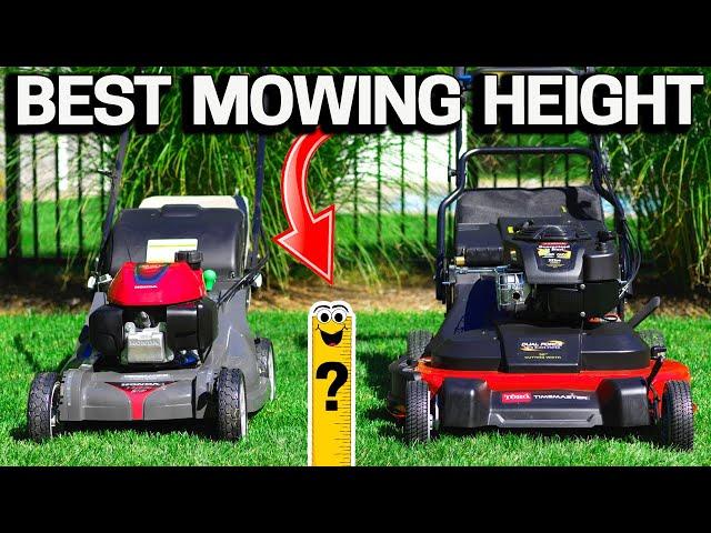 How TALL should you MOW your LAWN? Perfect Height?