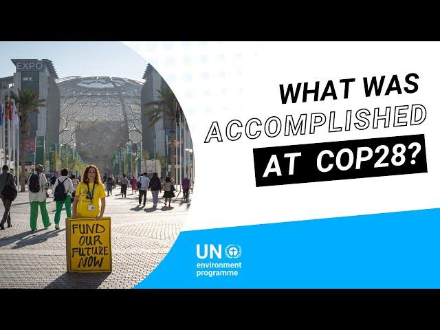 What was accomplished at COP28?