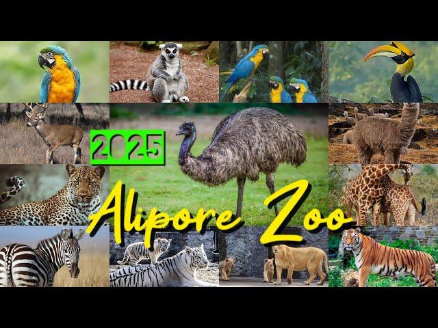 Alipore Zoo Kolkata 2025 | Alipur Zoo Ticket Price | Kolkata Chiriakhana New Update | Kolkata Zoo