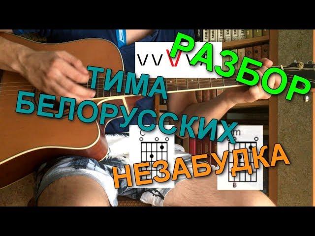 Тима Белорусских - НЕЗАБУДКА | Разбор для начинающих гитаристов
