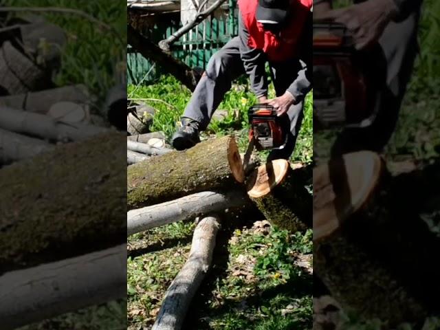 #stihl Старая бензопила в работе