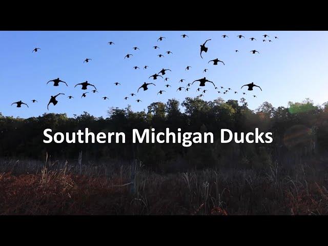 Southern Michigan Duck Hunting, Anarchist Outdoors 33