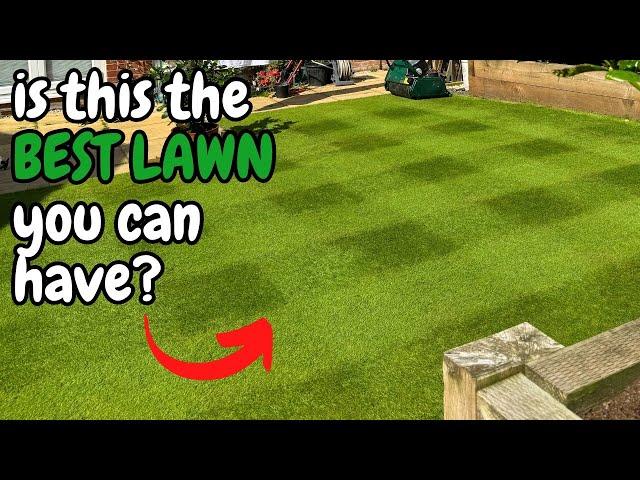 Is this the BEST type of LAWN you can have?