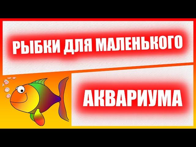 Рыбки для маленького аквариума