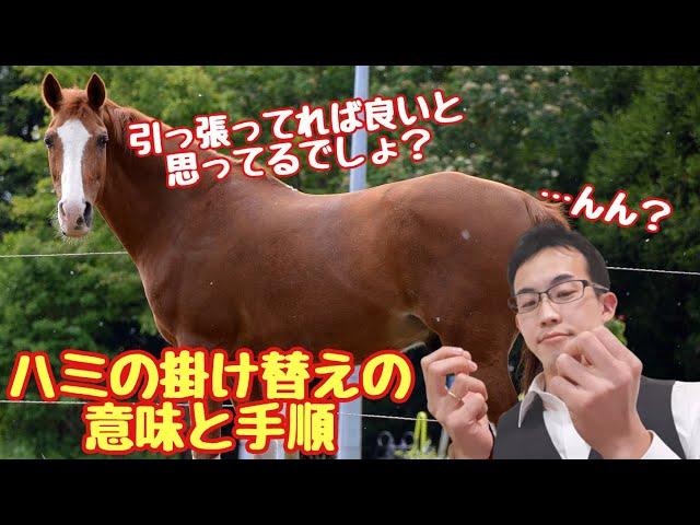 止まらない馬の制御に便利？ハミの掛け替えの効果について