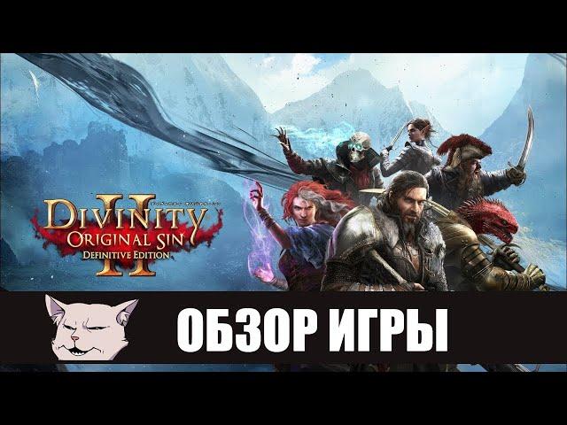 Шедевр со странностями I Обзор игры: Divinity: Original sin 2 (Definitive Edition)