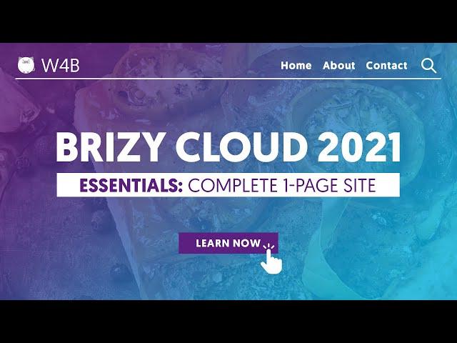 Brizy Cloud 2021 Essentials 4 Beginners | Make a website in Brizy Cloud from scratch! Step by Step.