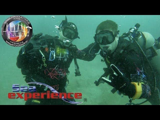 WaWa Productions Goes Scuba Diving Fort Lauderdale Sea Experience Jump for the Rose 4K Scuba Dive