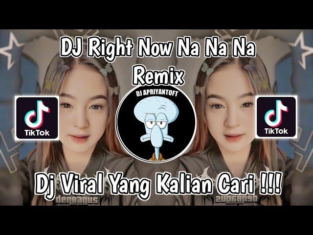 DJ RIGHT NOW NA NA NA REMIX VIRAL TIKTOK TERBARU 2024 !