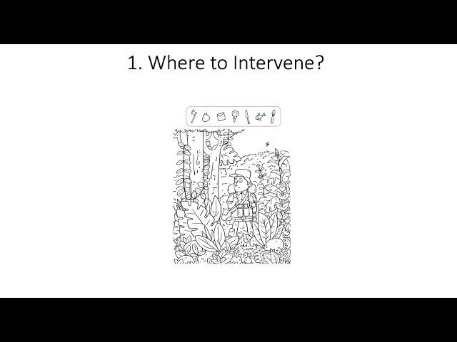 8.1. How to Intervene in Attention? Fundamentals of Cognitive Neuroscience Course, Session 8, Part 1