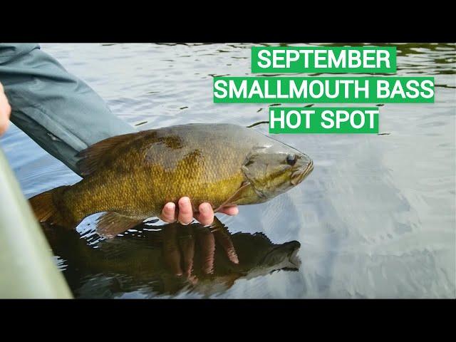 September Smallmouth Fishing (Little Known Hot Spot)