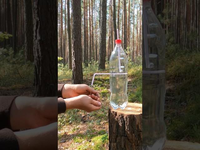 Survival Skills: Water Lifehack with a Bottle and Straws #survival #camping #lifehacks