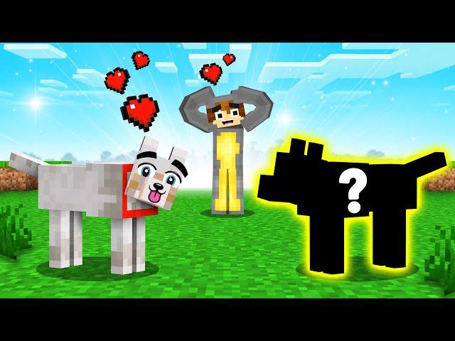 My Pet Dog Has A NEW Girlfriend In Our Minecraft World!