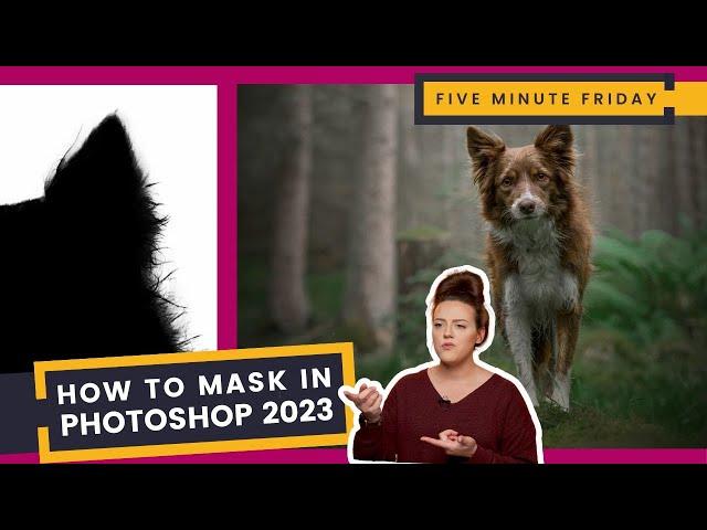How to Mask Fur and Hair in Photoshop CC 2023 | Another Update for Masking in Photoshop!