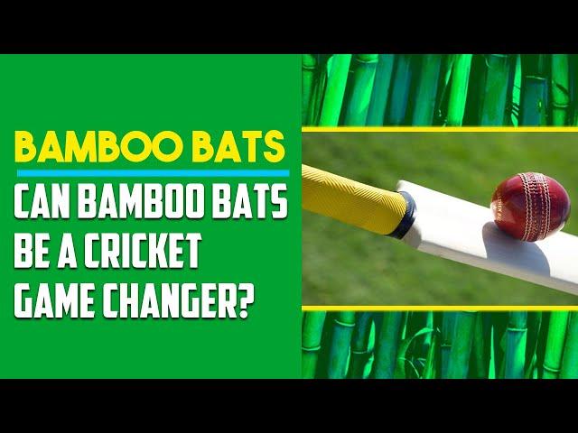 Can Bamboo Bats Replace Willow Bats? Can Bamboo Bats Be A Cricket Game Changer?