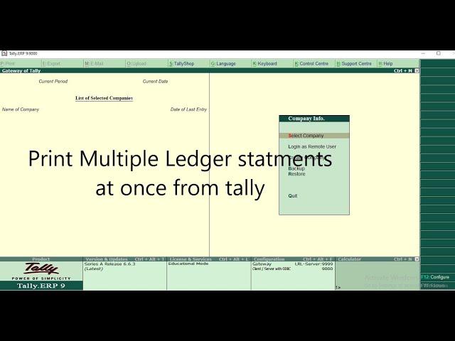 Print Multiple ledger statements from TALLY PRIME in one shot.