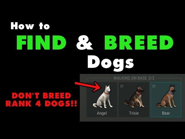 How to Find and Breed Dogs in Last Day on Earth Survival. LDOE puppy food