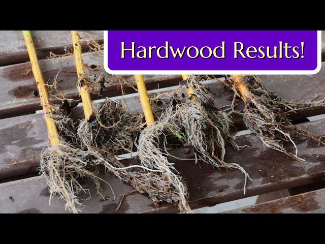 Hardwood Cuttings Results: Cold Season Propagation