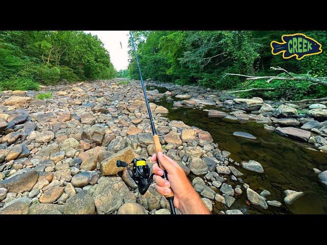 DRIED UP Creek has BIG Surprise!