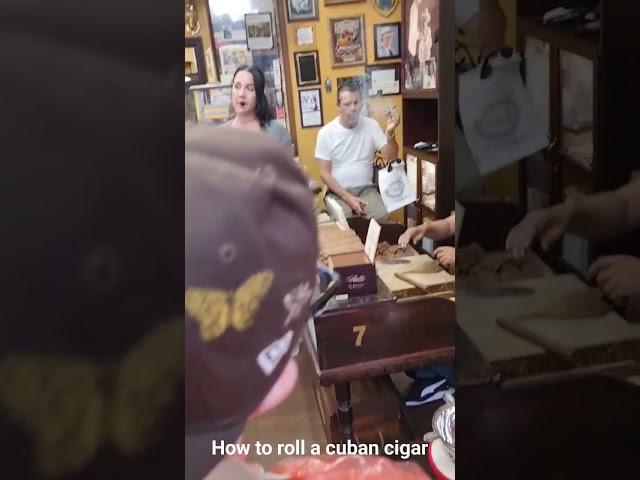 how to roll an authentic cuban cigar #howtoguides #cubancigar #shorts