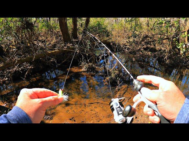 Micro Fishing for a New Pet at My Farm!