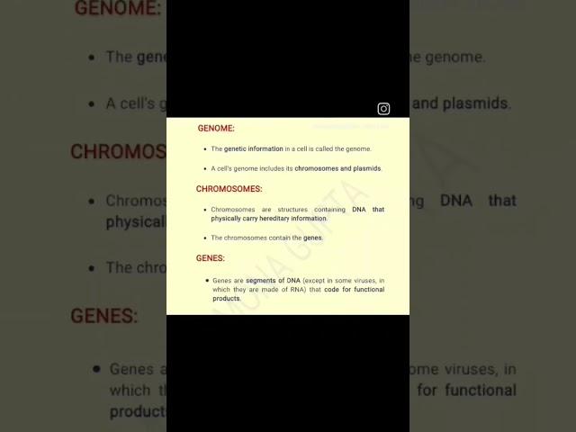 Some Definitions 2: Genome, Chromosomes and Gene....