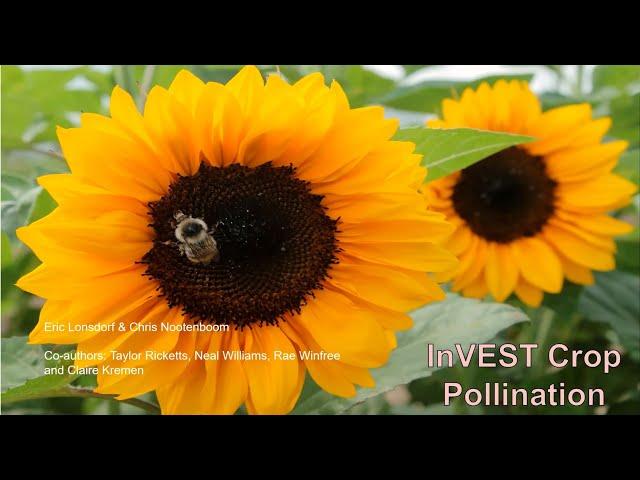 Introduction to the InVEST Crop Pollination Model